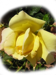 Wie ich bei der Traum�bersetzung vorgehe