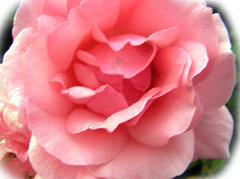 H�ufig gestellte Fragen